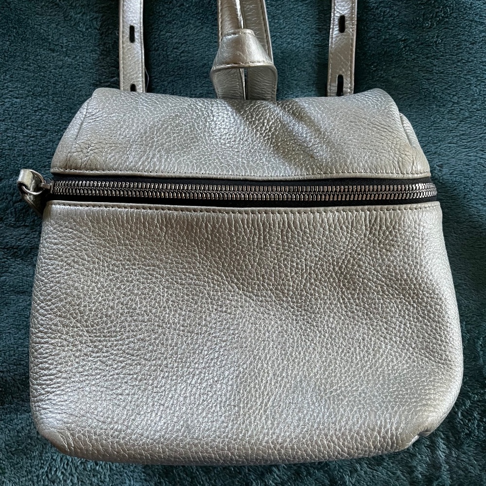Kara Backpack  Rich Warm Silver Tone   Minimalist Utilitarian Vibe